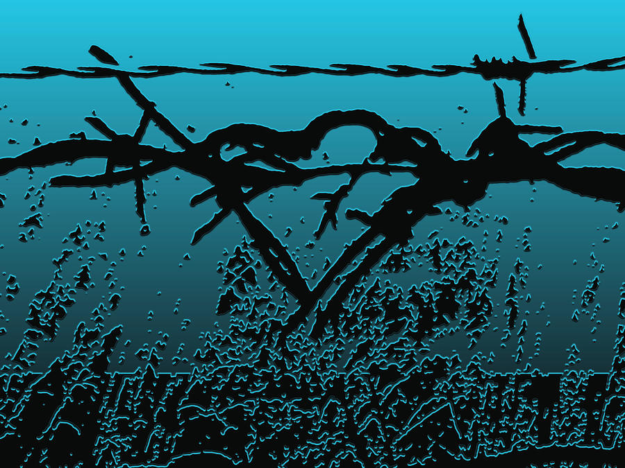 Barb Photograph - The Blues - Barbed Wire Love Series by Lesa Fine