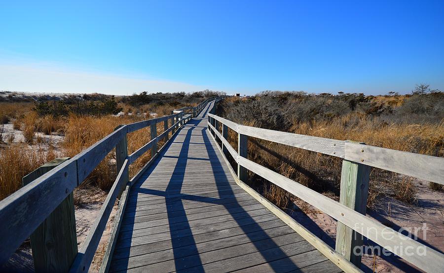 The Boardwalk over the Dunes Photograph by Stacie Siemsen