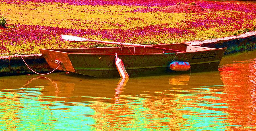 The Boat Digital Art by Barbara McDevitt