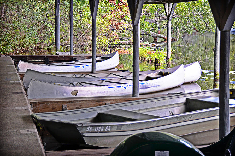 The Boat Shed Photograph by Linda Brown