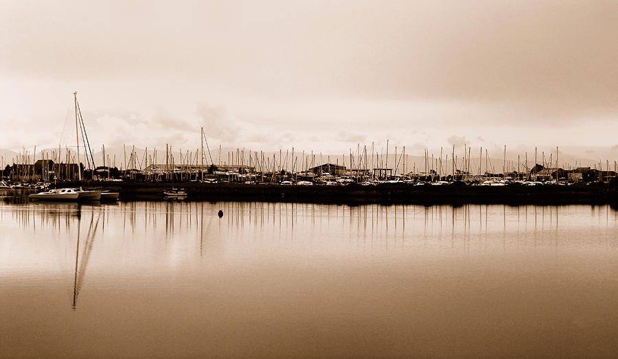 The Boatyard Photograph by Wendy Wilton