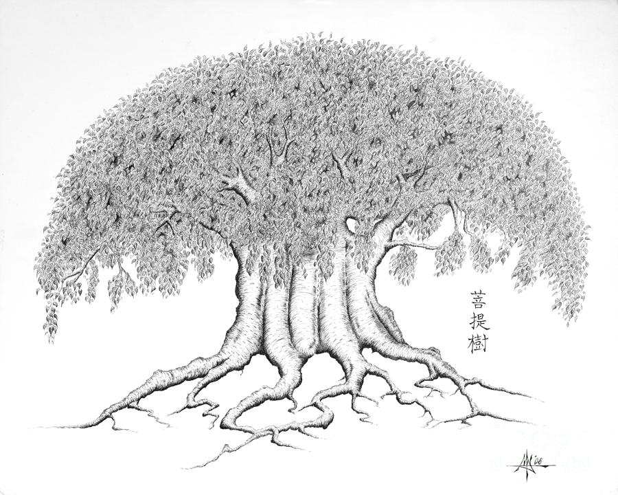 Tree Drawing - The Boddhi Tree by Robert Fenwick May Jr