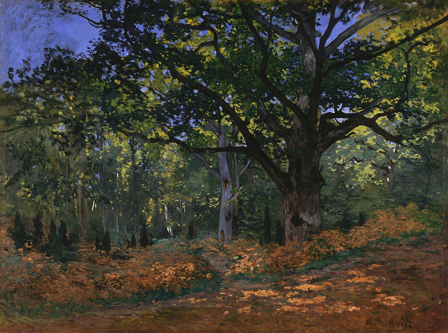 Claude Monet Painting - The Bodmer Oak. Fontainebleau Forest by Claude Monet