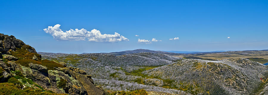 The Bogong High Plains Photograph by Mark Lucey