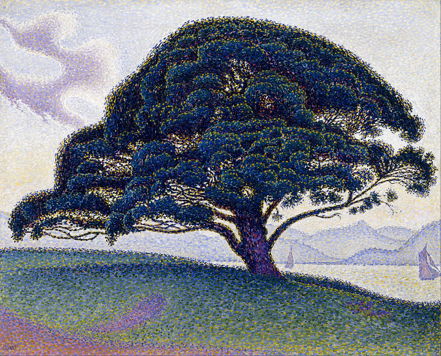 Paul Signac Painting - The Bonaventure Pine by Paul Signac