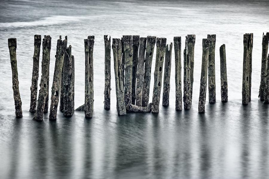 The bones of a pier Photograph by Robert Davis