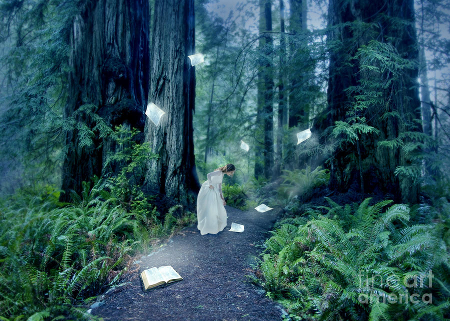 The Book to Light Her Path Photograph by Jill Battaglia
