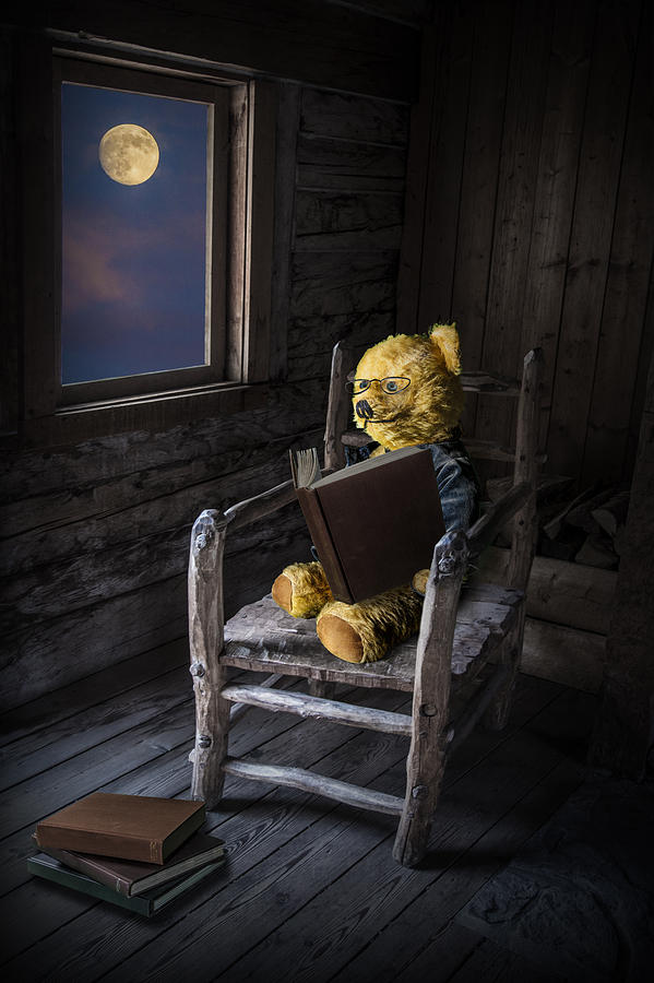 The Bookworm Photograph by Randall Nyhof