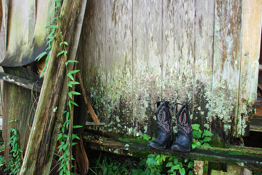 The Boots They All Wore by Beverly Stapleton The Boots They All Wore by Beverly Stapleton