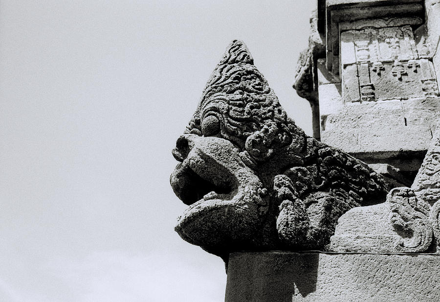 The Borobudur Gargoyle Carving Photograph by Shaun Higson