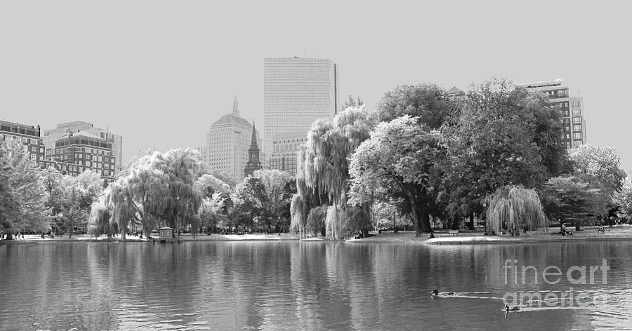 Boston Photograph - The Boston Public Garden by Ellen Ryan