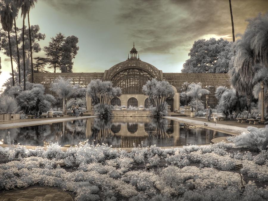 The Botanical Building Balboa Park Photograph by Jane Linders