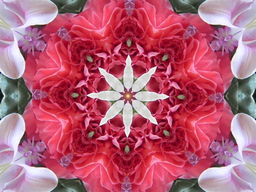 The Bouquet Mandala Digital Art by Diane Lynn Hix