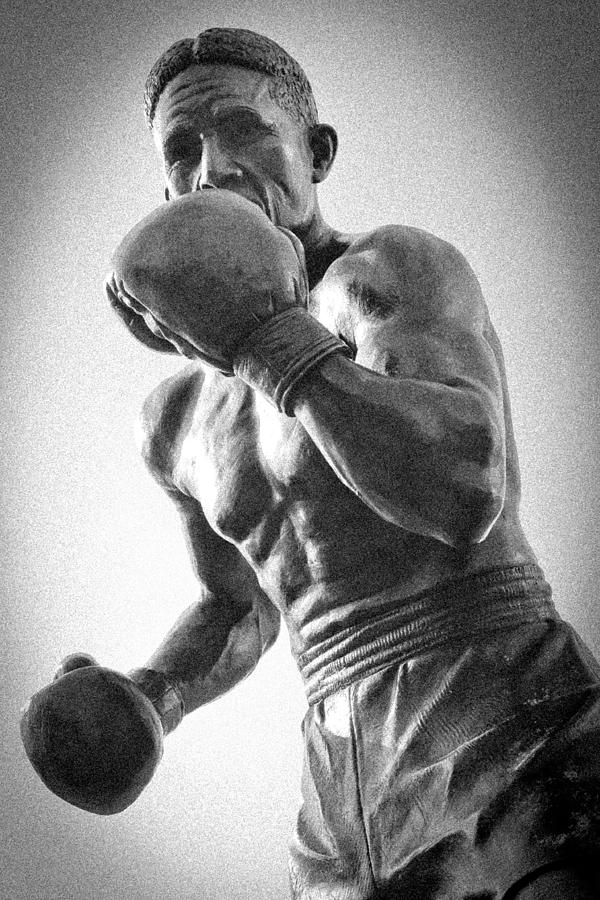 Sports Photograph - The Boxer by Bob Caddick