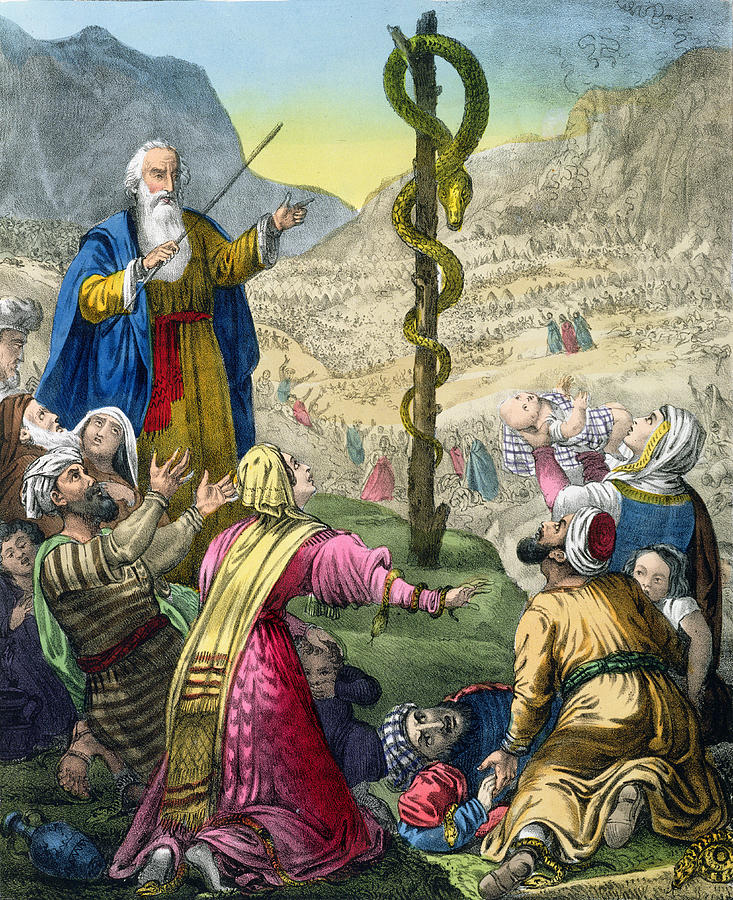 Snake Drawing - The Brazen Serpent, From A Bible by Siegfried Detler Bendixen