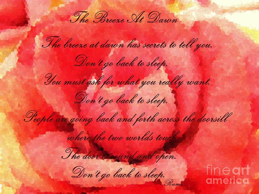 Rose Painting - The Breeze at Dawn - Rose - Rumi Quote - Dont Go Back to Sleep by Barbara A Griffin