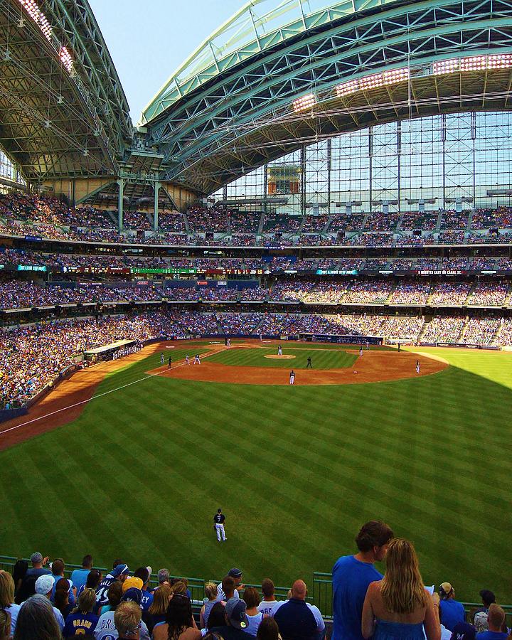 The Brewer Game Photograph by Carol Toepke - Fine Art America