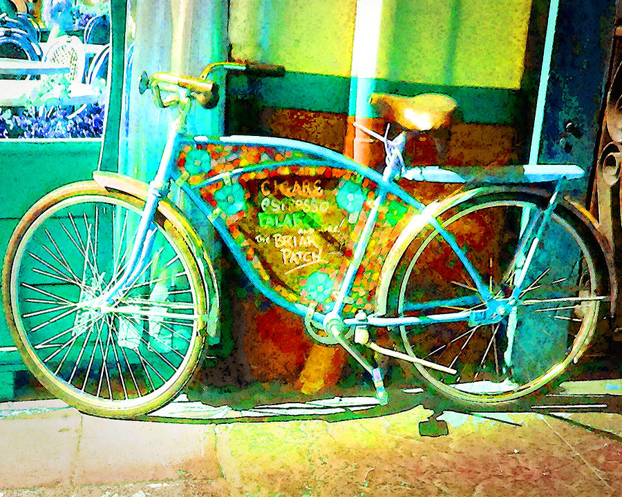 The Briar Patch Bike Photograph by Timothy Bulone