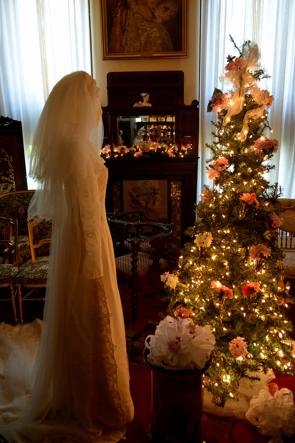 The Bride and the Christmas Tree Photograph by Judy Wanamaker