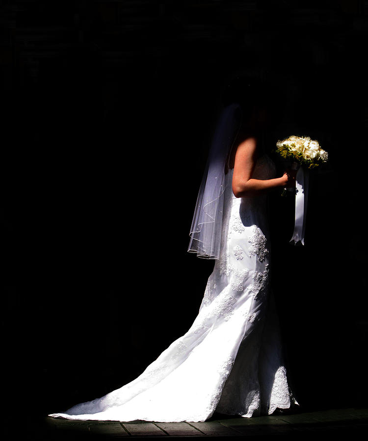 Flower Photograph - The Bride by Dennis Wilson