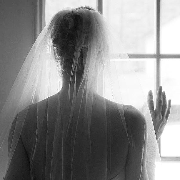 Fineartamerica Photograph - the Bride #melissawyatt by Melissa Lutes