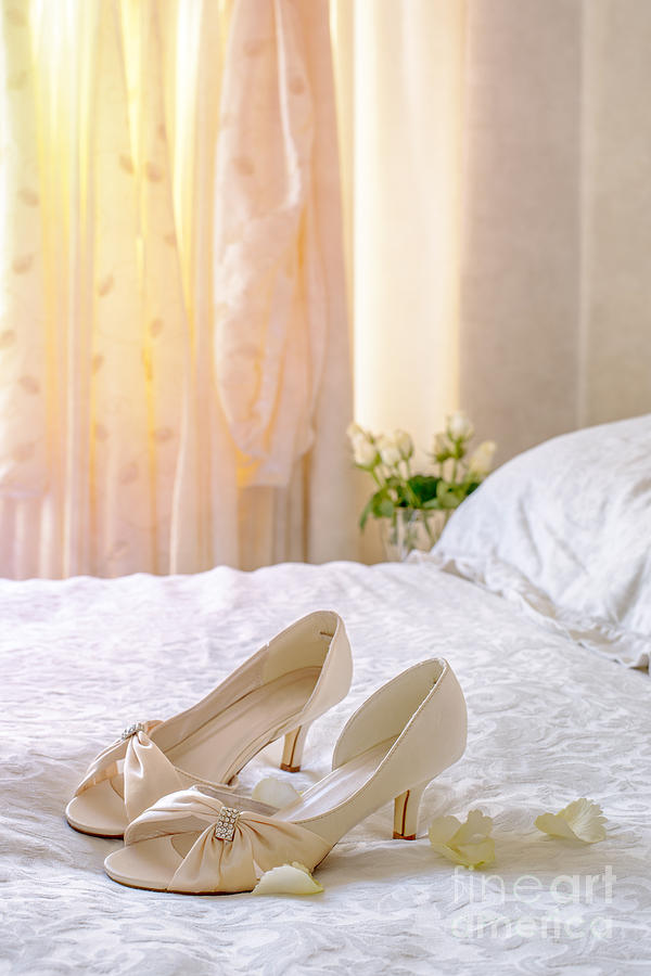 Rose Photograph - The Brides Sandals by Amanda Elwell