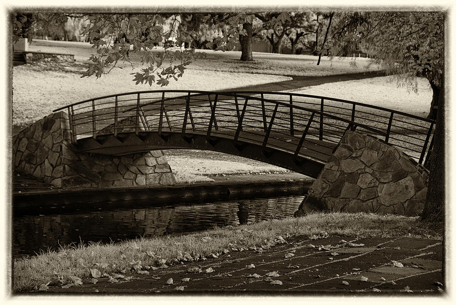 The Bridge Photograph by Andrew Dickman