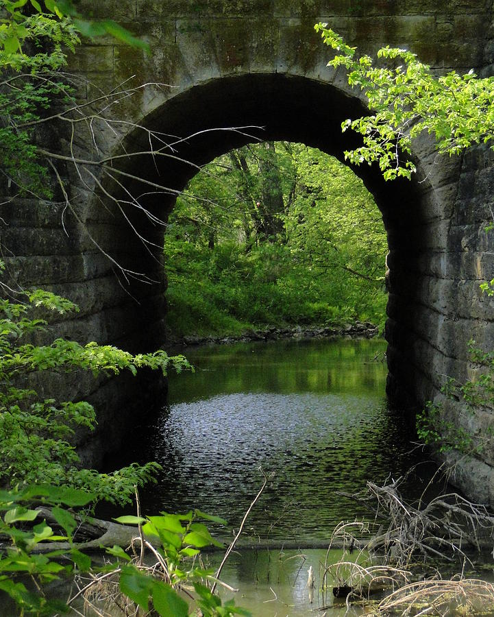 The Bridge at Bala Park Photograph by Vicki Tinnon | Fine Art America