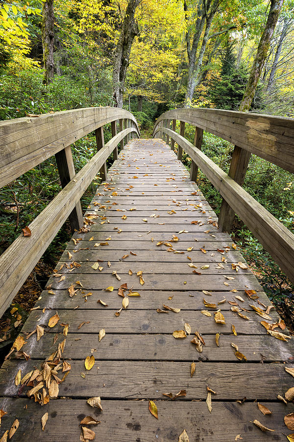 The Bridge at Rough Ridge Photograph by Kate Silvia - Fine Art America