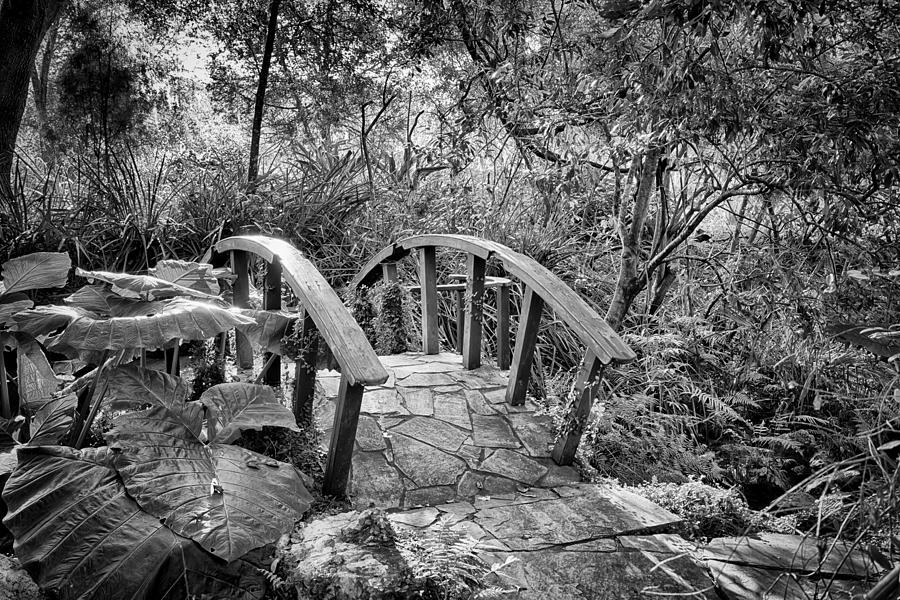 The Bridge Photograph by Howard Salmon