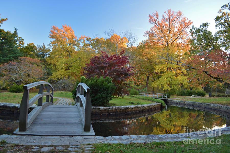 The Bridge to Autumn Photograph by Tammie Miller