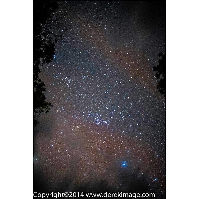 Jungle Photograph - The Brief View Of Stars In The Amazon by Derek Kouyoumjian