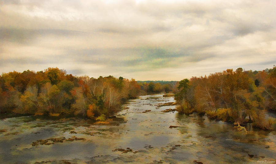 Nature Painting - The Broad River by Steven Richardson
