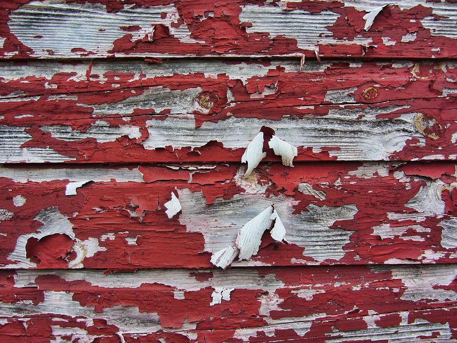 The Broad Side of a Barn Photograph by Kathy Clark