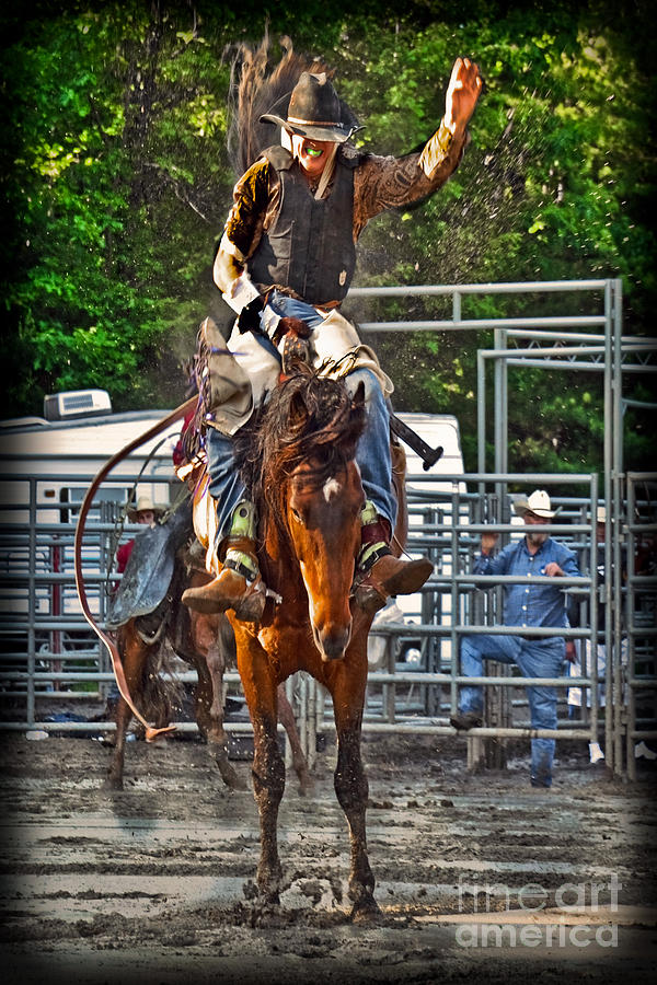 Sports Photograph - The Bronco Rider by Gary Keesler