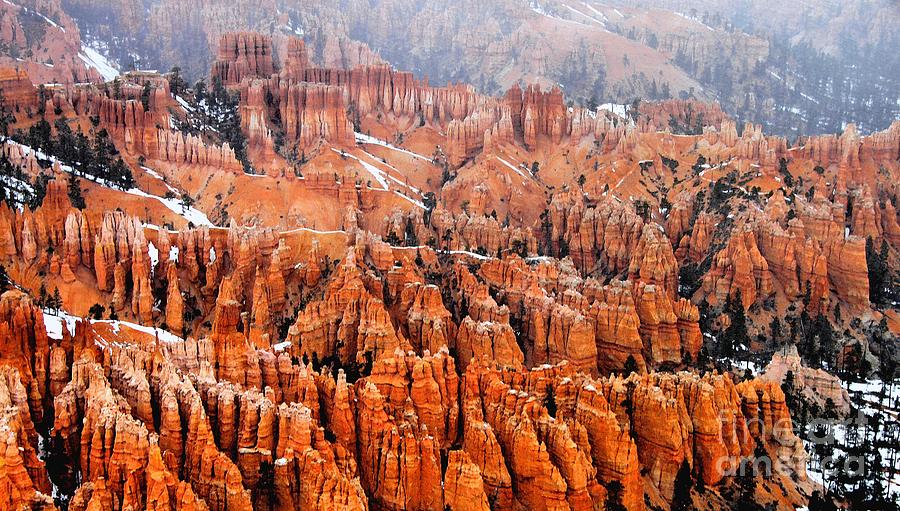 The Bryce Canyon Series III Photograph by Scott Cameron