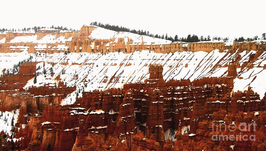 The Bryce Canyon Series Photograph by Scott Cameron