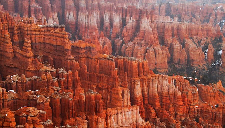 The Bryce Canyon Series V Photograph by Scott Cameron