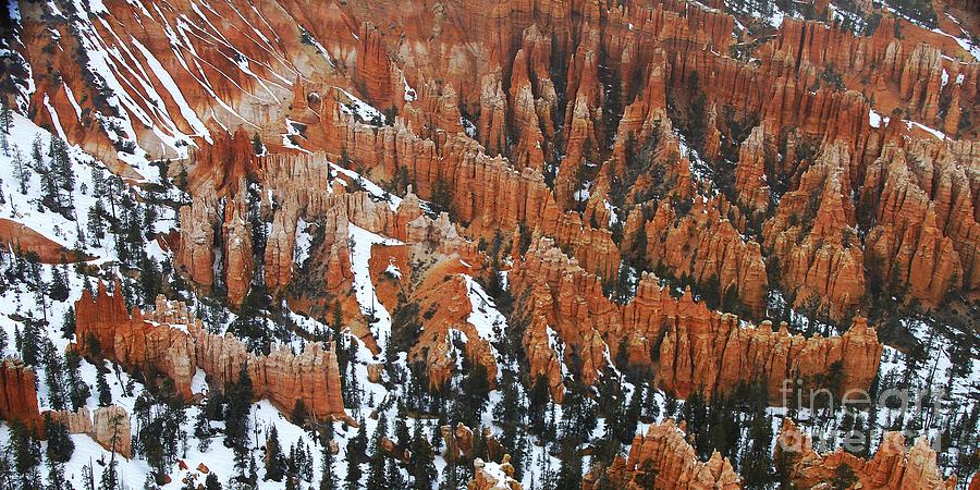 The Bryce Canyon Series VII Photograph by Scott Cameron