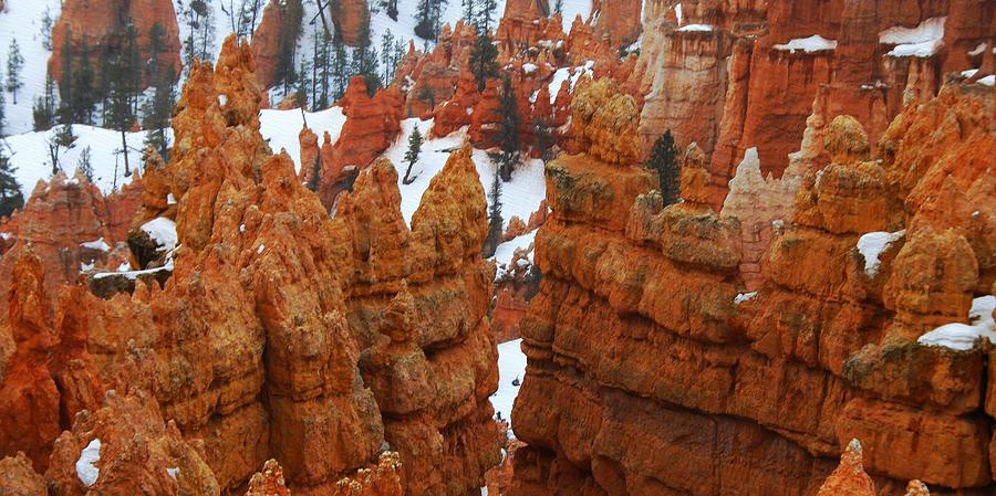The Bryce Canyon Series VIII Photograph by Scott Cameron