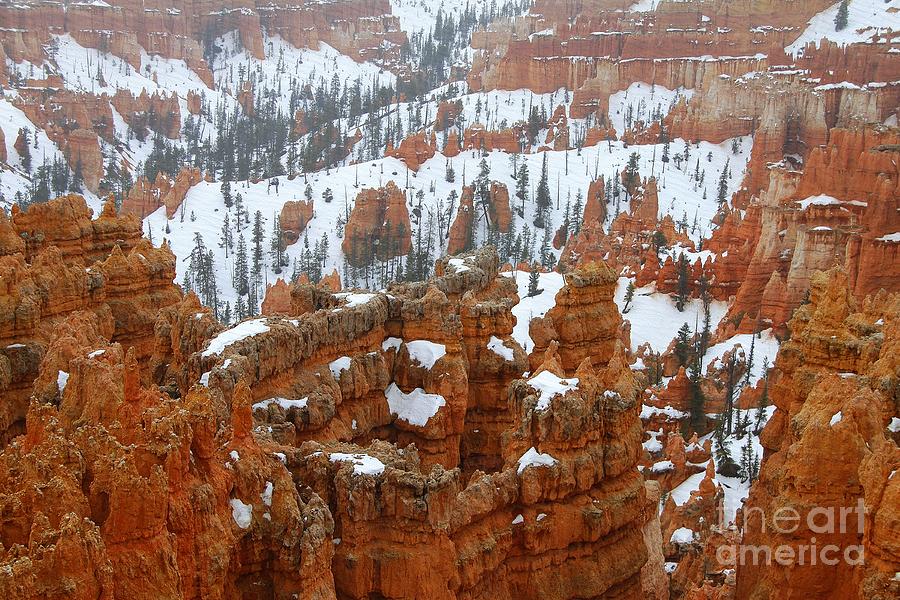 The Bryce Canyon Series XII Photograph by Scott Cameron