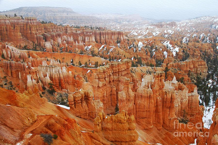 The Bryce Canyon Series XIV Photograph by Scott Cameron