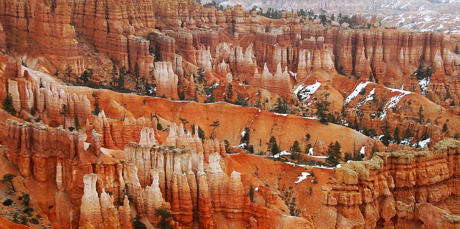 The Bryce Canyon Series XV Photograph by Scott Cameron