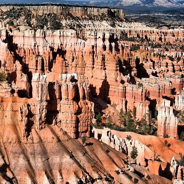 Nature Photograph - The Bryce Canyon - Utah by Luisa Azzolini