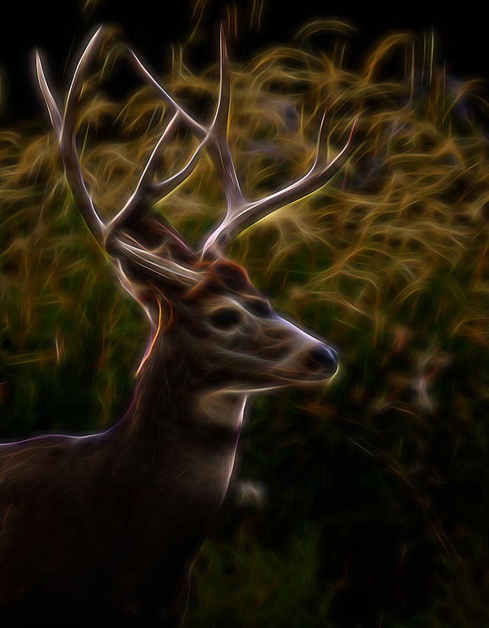 The Buck 2 Digital Art Digital Art by Ernest Echols