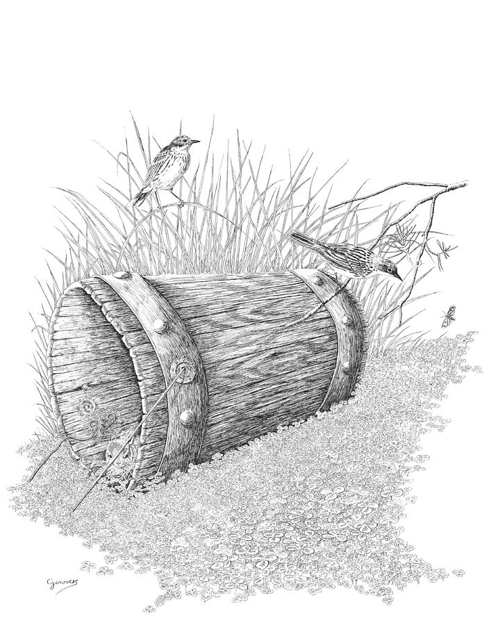Bird Drawing - The Bucket by Carl Genovese