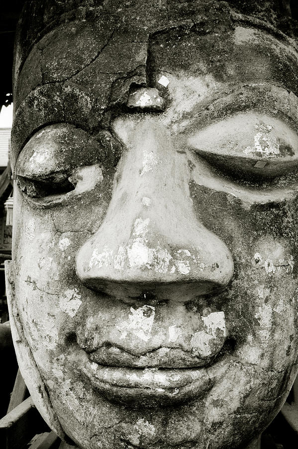 Awe Of The Buddha In Thailand Photograph by Shaun Higson