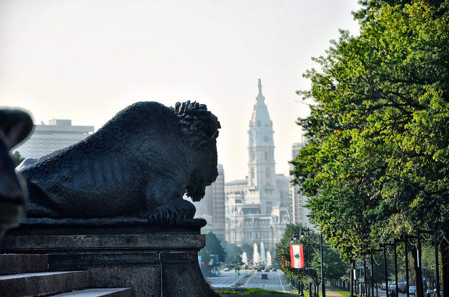 The Buffalo Statue on the Parkway Photograph by Bill Cannon | Fine Art