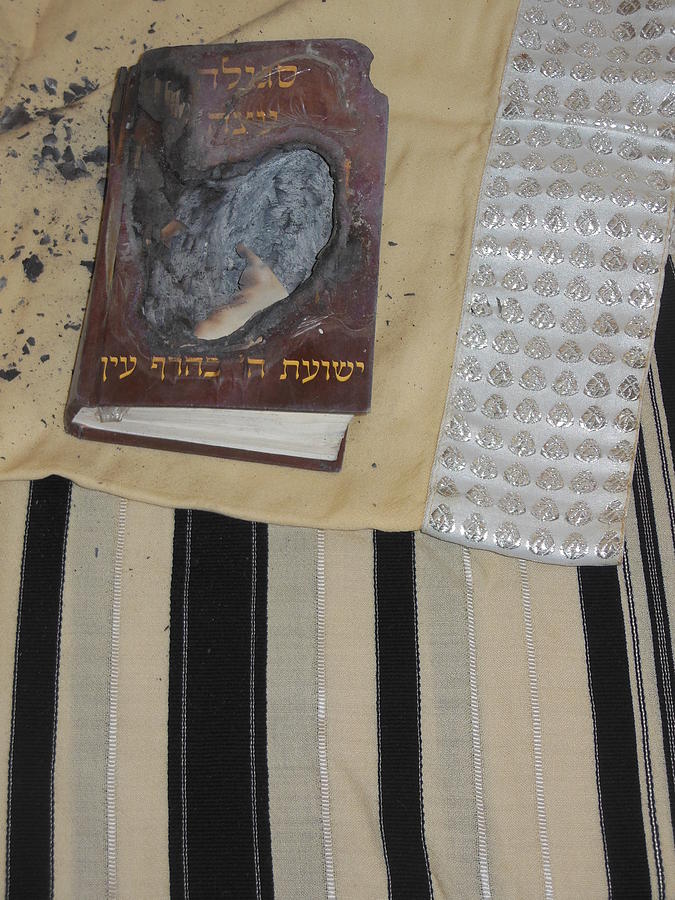 The Burnt Book and the Tallis Photograph by Esther Newman-Cohen