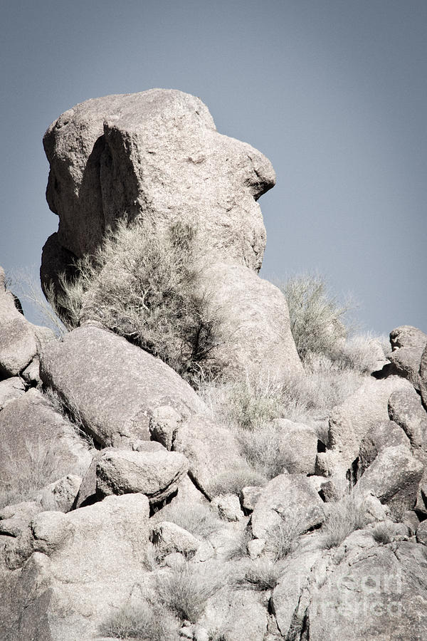 The Butler Rock Photograph by Marianne Jensen